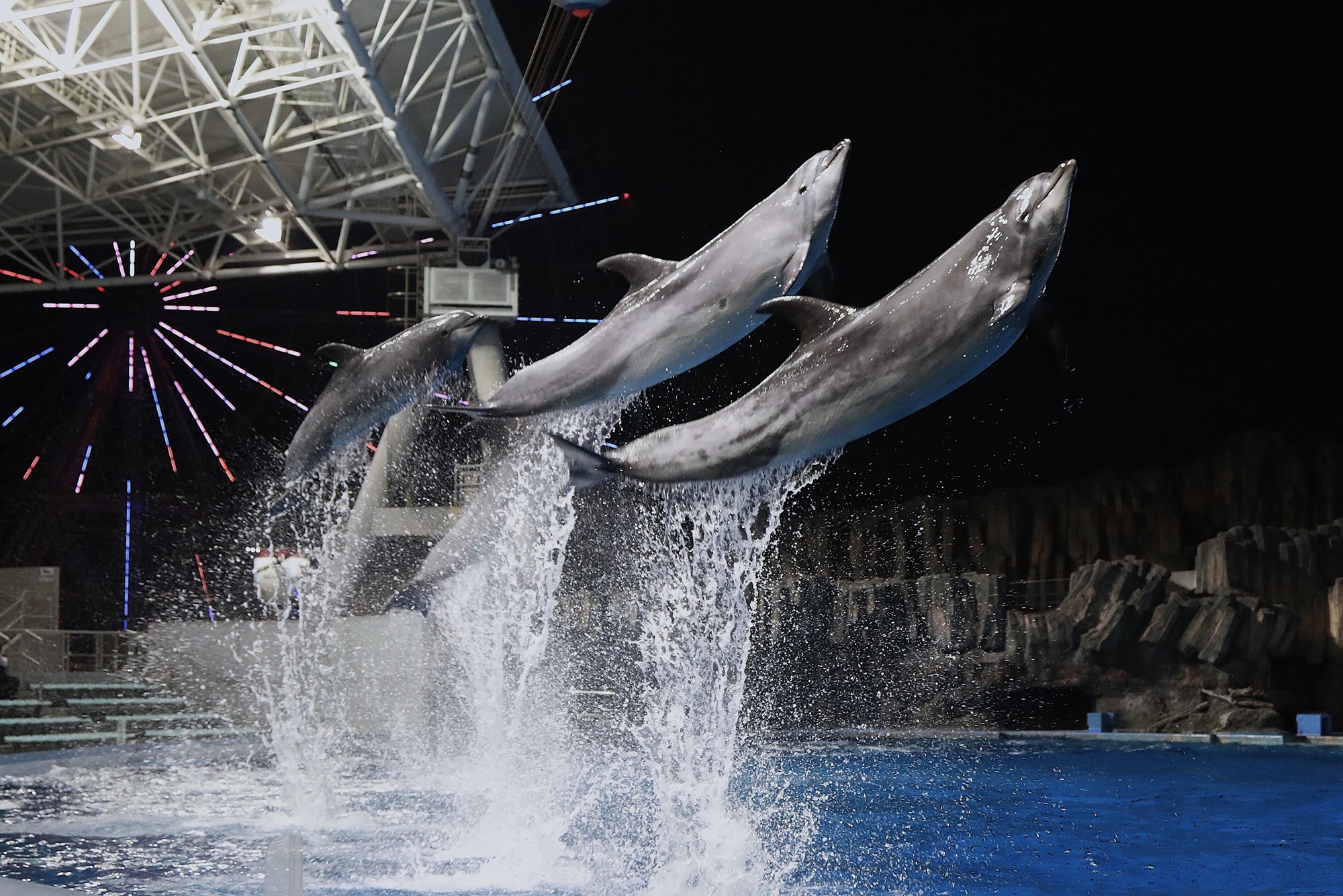 名古屋港水族館 on X: 名古屋港水族館 on X: