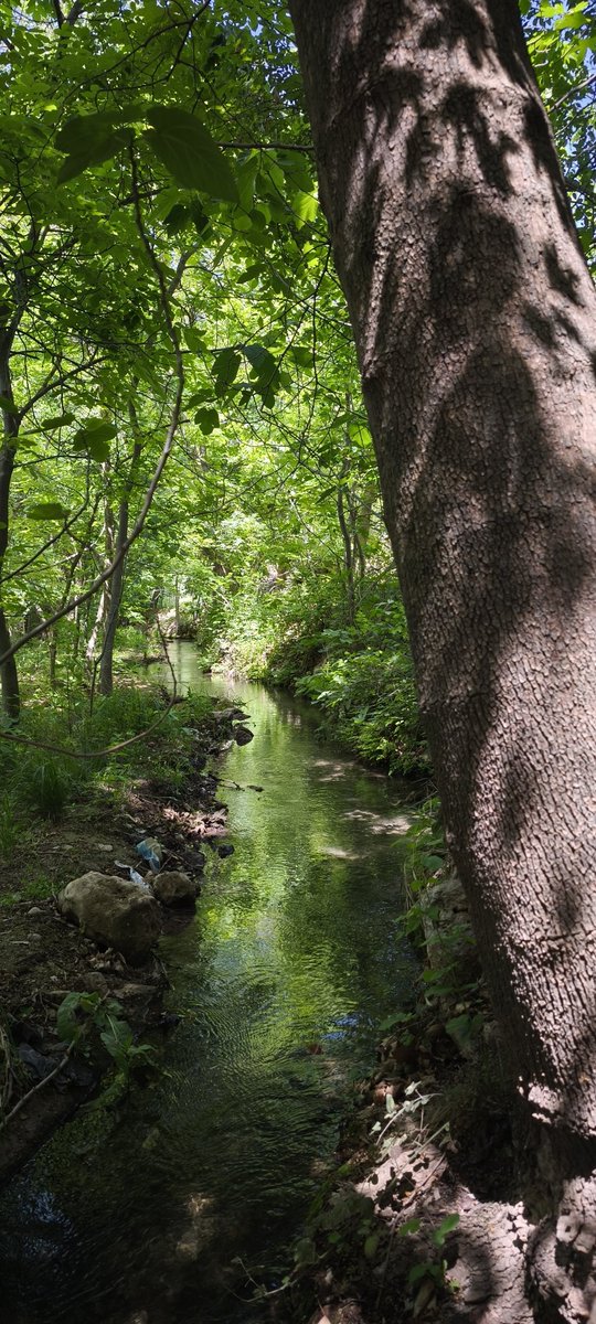 marccusso's tweet photo. Sarhoş eden bir bahar var. https://t.co/Un0gLVqpnH