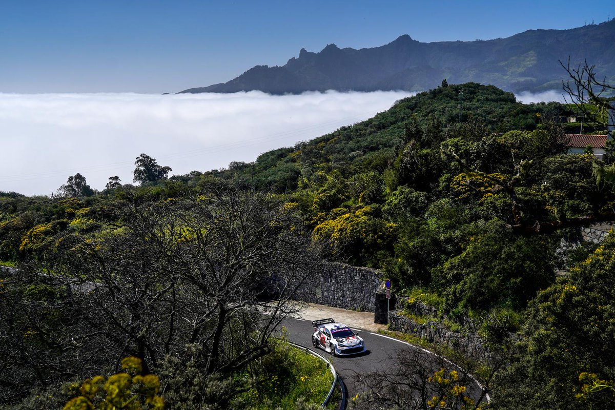 FIA World Rally Championship tweet media
