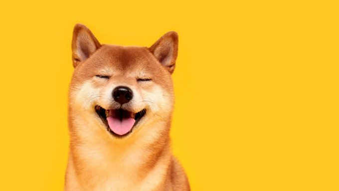 khalitabdiqadir's tweet photo. π₯ WAR CUSUB:
πΆ DOGE miner-ka Z Squared wuxuu ku biirayaa suuqyada dadweynaha isaga oo la midoobaya Coeptis.
π
Heshiiska la dhamaystirayo Q3 2025, waxana uu abuurayaa mid ka mid ah shirkadaha ugu waaweyn ee si furan ugu ganacsada $DOGE mining.
#DOGE #ZSquared https://t.co/xzk1aXooh5