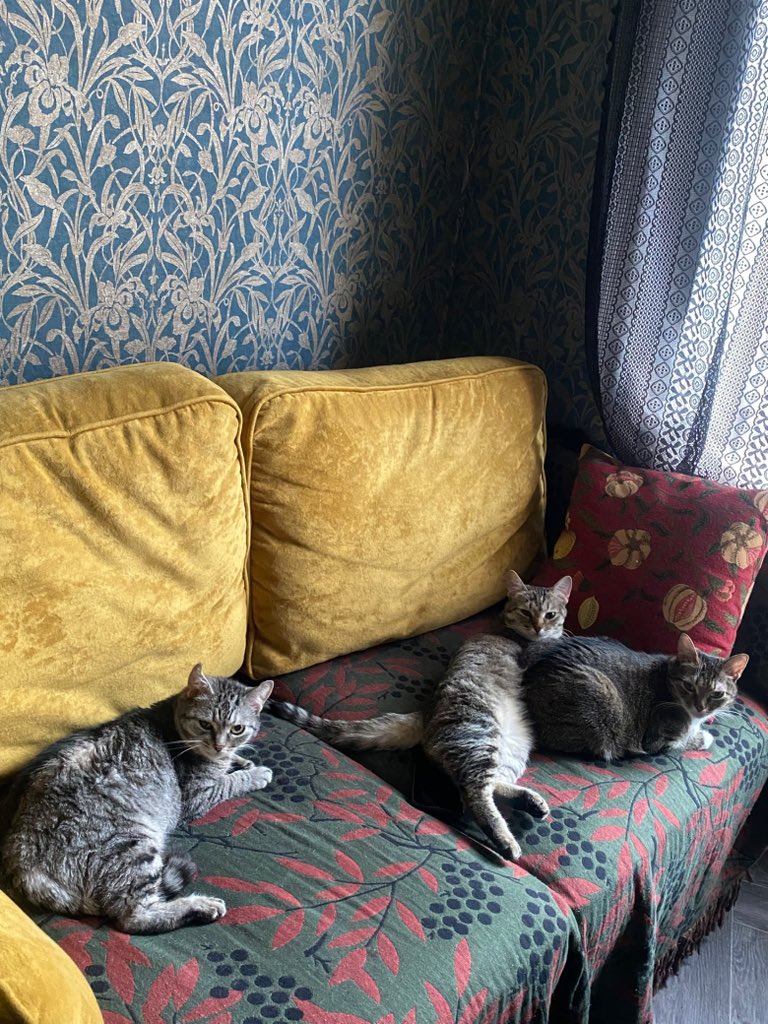 Tami🦦 (@tamimimiko) on Twitter photo 