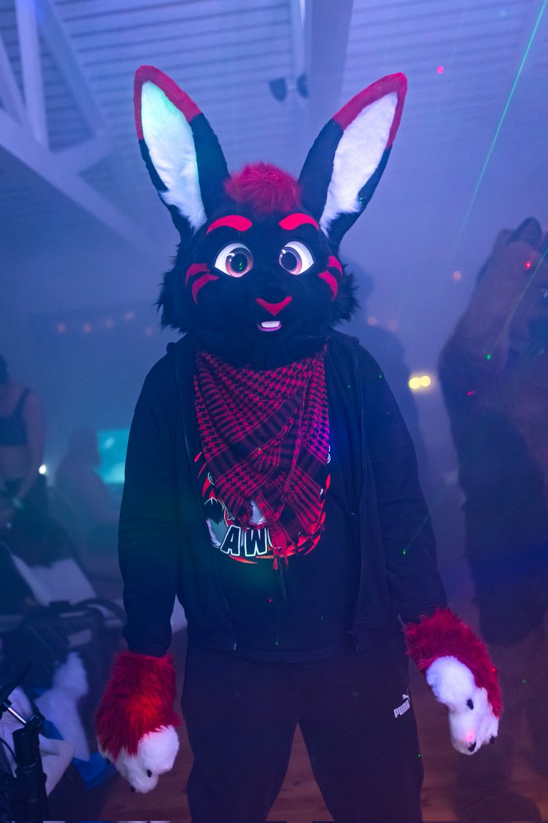 I'm Niku! 🦊 tweet media
