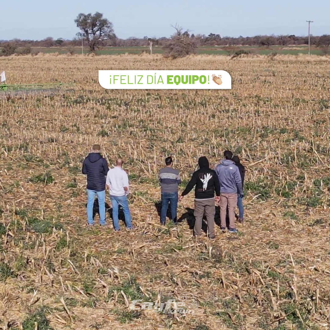 cayfe_export's tweet image. Hoy celebramos a quienes hacen posible cada logro en Cayfe Export💚

Reafirmamos el poder del trabajo en equipo, el valor del esfuerzo compartido y la importancia de seguir creciendo juntos😄

Gracias, a cada trabajador/a que forma parte de esta gran familia ¡Feliz Día Equipo!👏🏽