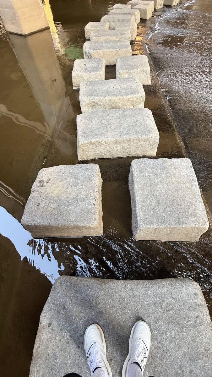 이 징검다리들도 전부 꽃길로 보이는 이유를 서술하시오🌸