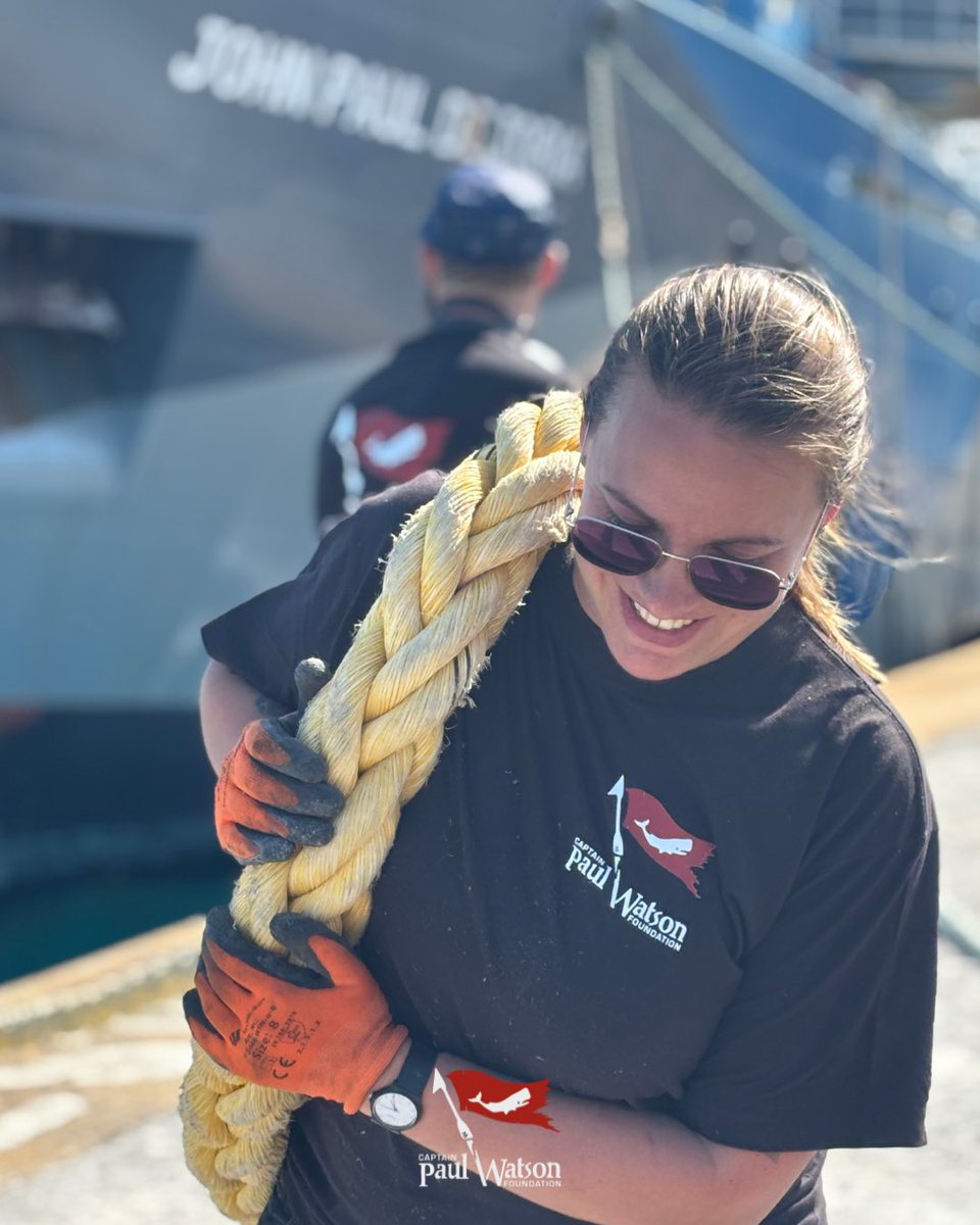 CaptPaulWatson's tweet image. The Final Stretch. ๐
Our incredible crew from every corner of the globe has been working tirelessly to put the finishing touches on the John Paul DeJoria. Many have been living onboard for months, dedicating their time, energy, and skills to prepare the ship for the mission.