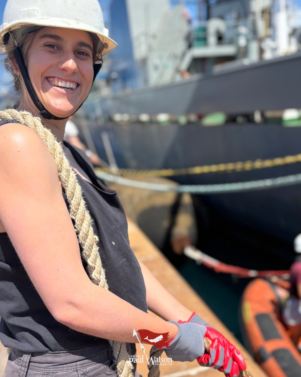 CaptPaulWatson's tweet image. The Final Stretch. ๐
Our incredible crew from every corner of the globe has been working tirelessly to put the finishing touches on the John Paul DeJoria. Many have been living onboard for months, dedicating their time, energy, and skills to prepare the ship for the mission.