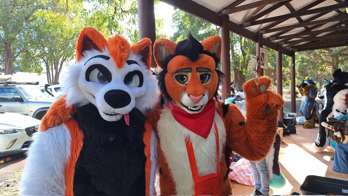 Another great day out at the furmeet