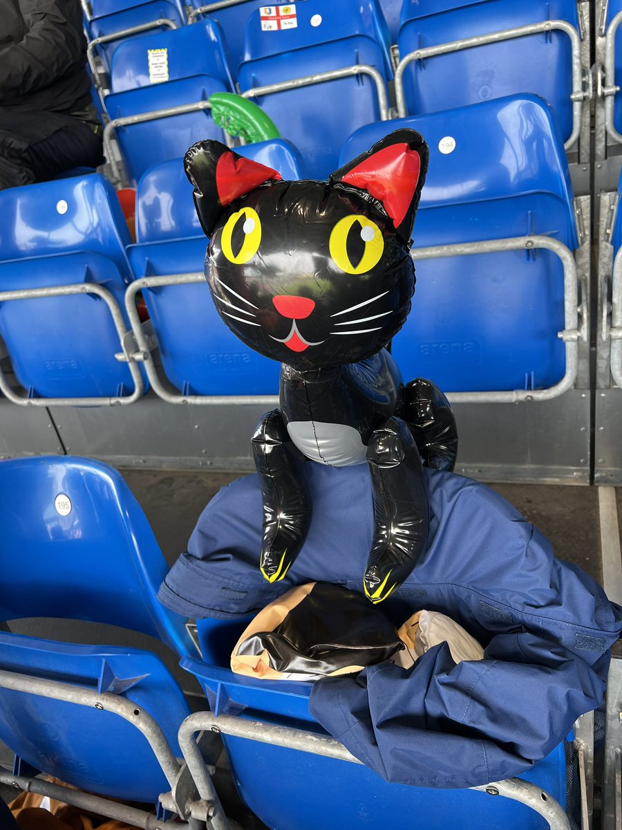 rossTheTwit's tweet image. EL GATO HAS ARRIVED! #joelpereira #readingfc #bristolrovers #memorialstadium