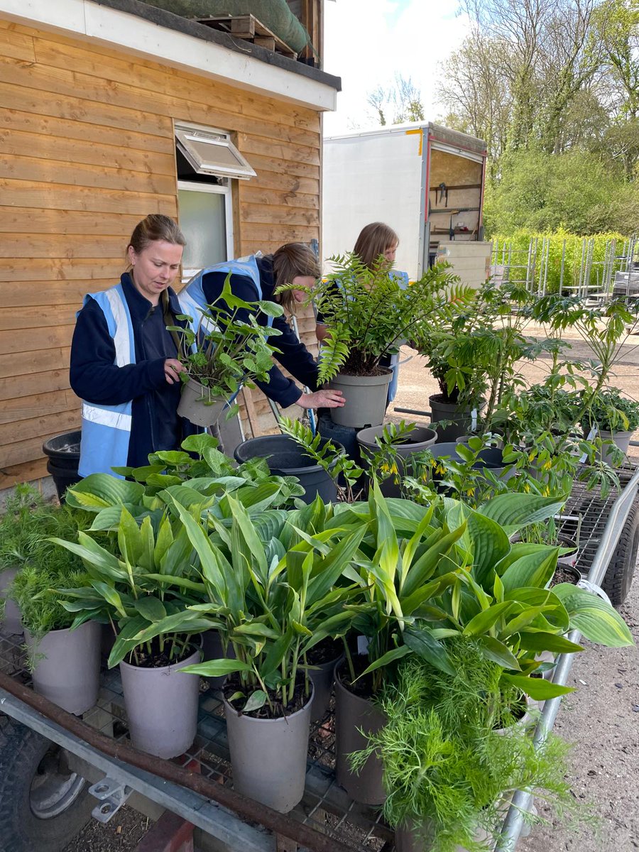 Hortus Loci tweet media