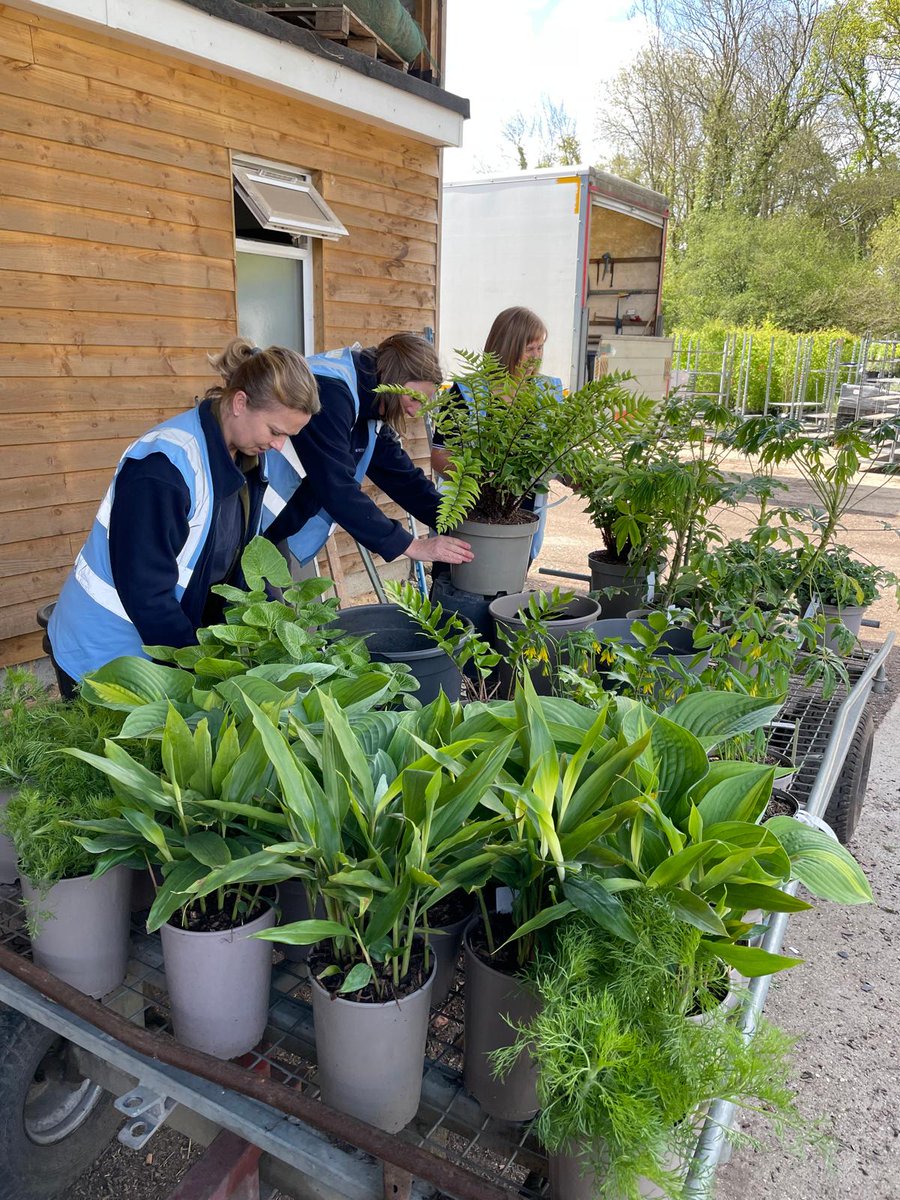 Hortus Loci tweet media