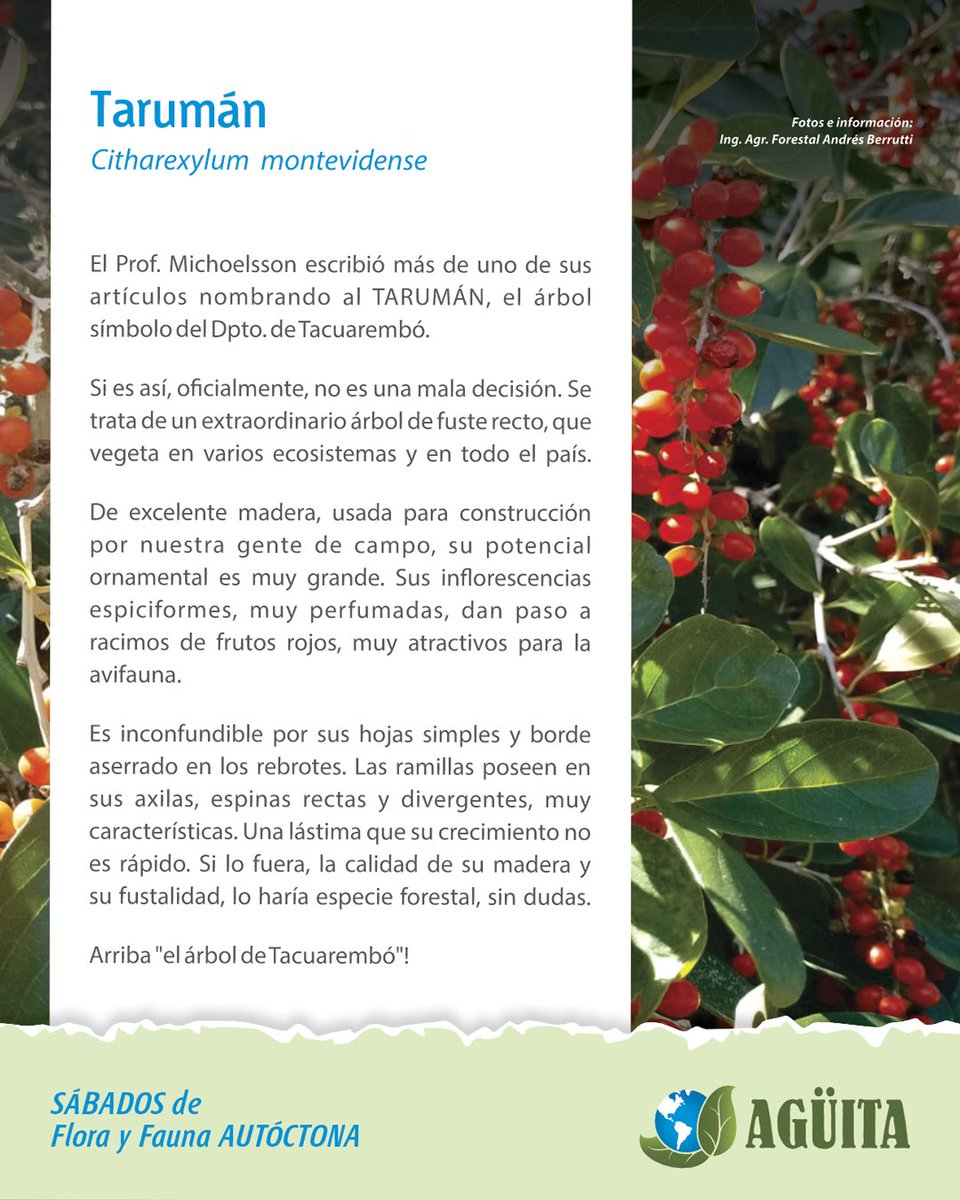 #sabadosdefloryfauna 
Agüita comprometidos con la #naturaleza