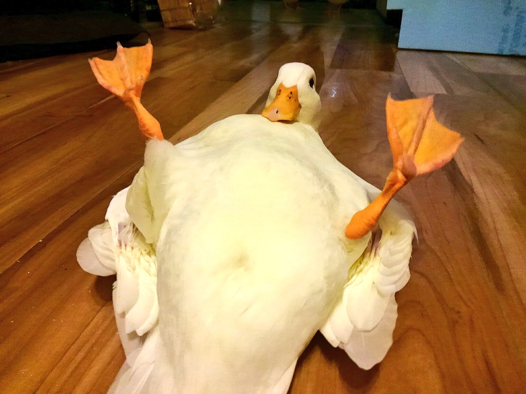 GW