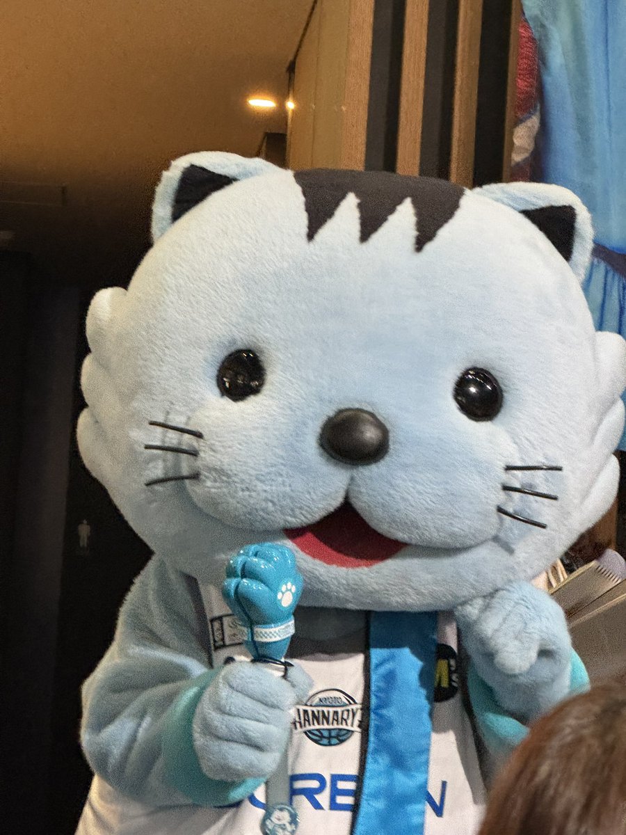 ねこ丸♡ページ ネコ丸ページ 0641361328749.jpg