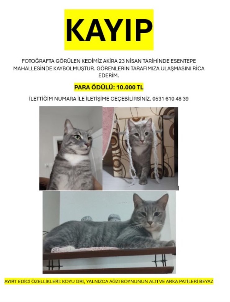 bu çocuk depremde esentepe mahallesinde kaybolmuş elden ele yayar mısınız?