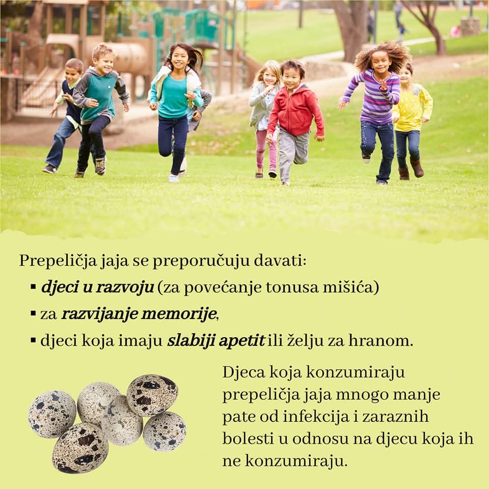EkoFarmaSibnica's tweet photo. #farmaprepelicasibnica
#jajaprepelica #zdravojaje #superhrana #eliksirzdravkja #imunitet #zdravlje #FitnessMotivation https://t.co/LGyXq467ii