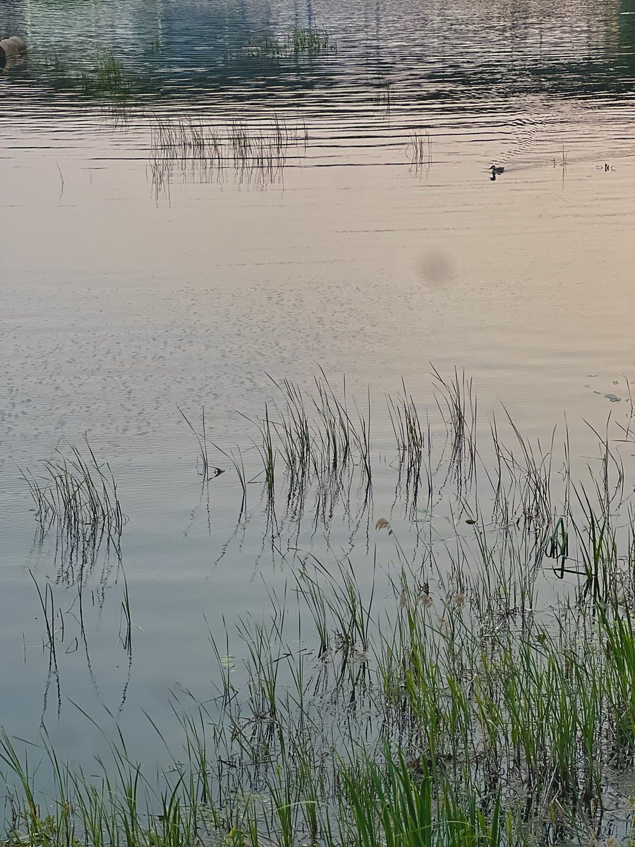 sthisforever's tweet photo. https://t.co/AJwqmN1JMz
