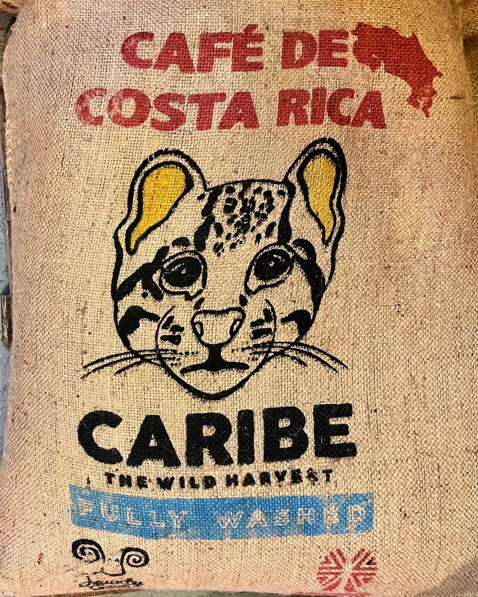 Our new Costa Rica coffee - Aquaries Caribe

Aquiares sits on the slopes of Turrialba Volcano, which faces the Caribbean sea. The region is blessed with rich volcanic soils and abundant rainfall which brings in nutrients from the Caribbean sea resulting in a regional blend that