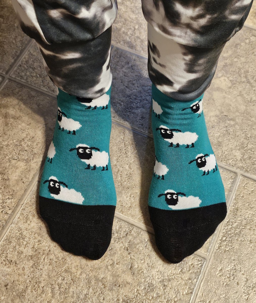 Honey🇨🇦 tweet media