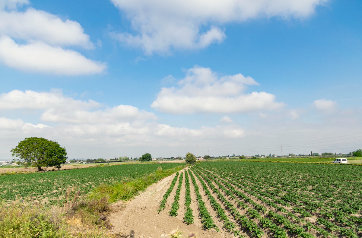 Merijar's tweet image. #semanavegaArmilla
@AytoArmilla 
Fotos para el II concurso de fotografía "semana de la vega ciudad de Armilla"
