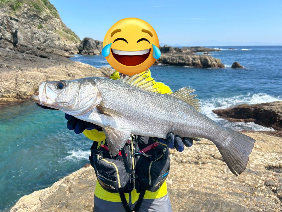 hey_fellas's tweet photo. 天草遠いけど釣れるから通っちゃう https://t.co/iIoyUGyxWq