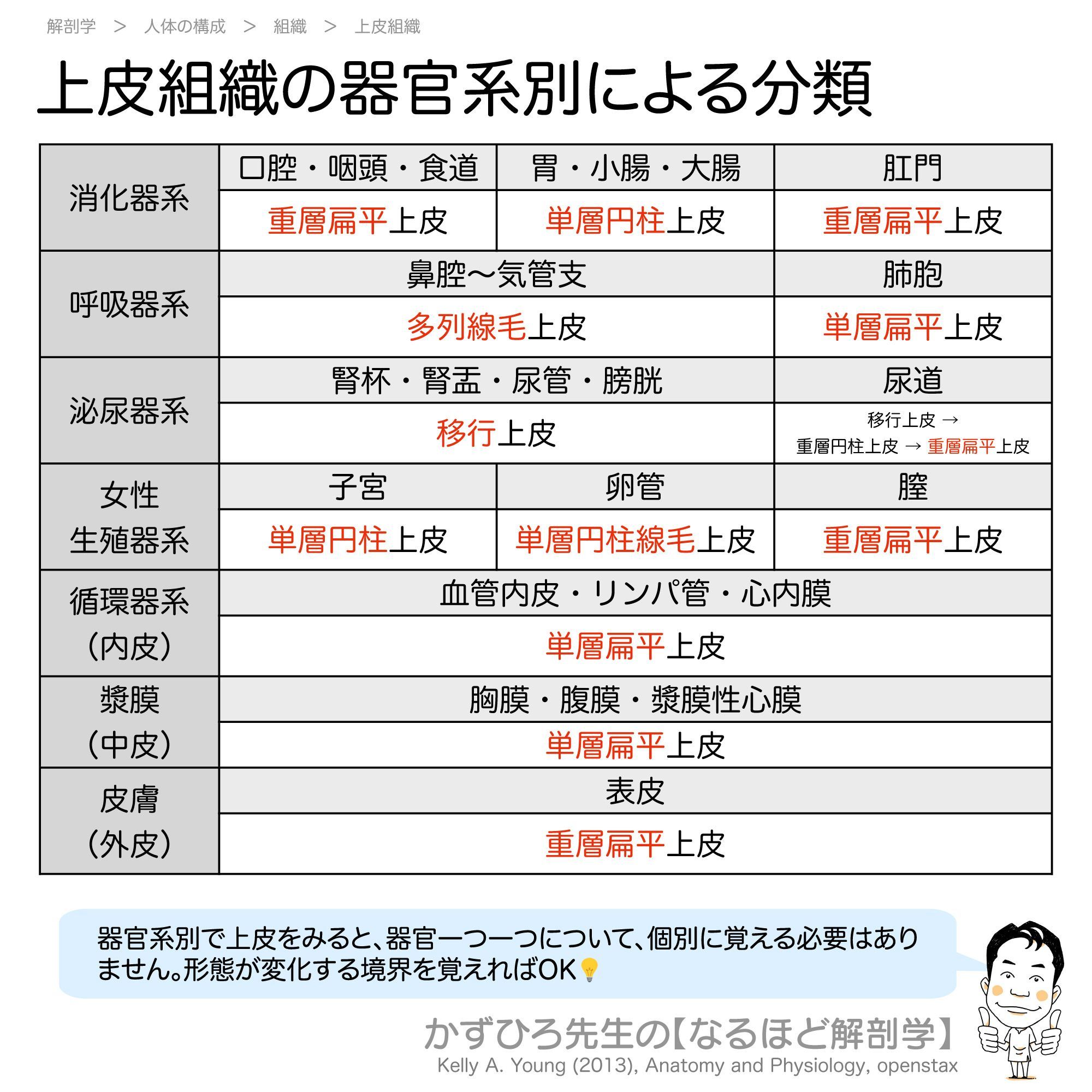 黒澤一弘（かずひろ）解剖学IT教育・指圧師・ラダック on X