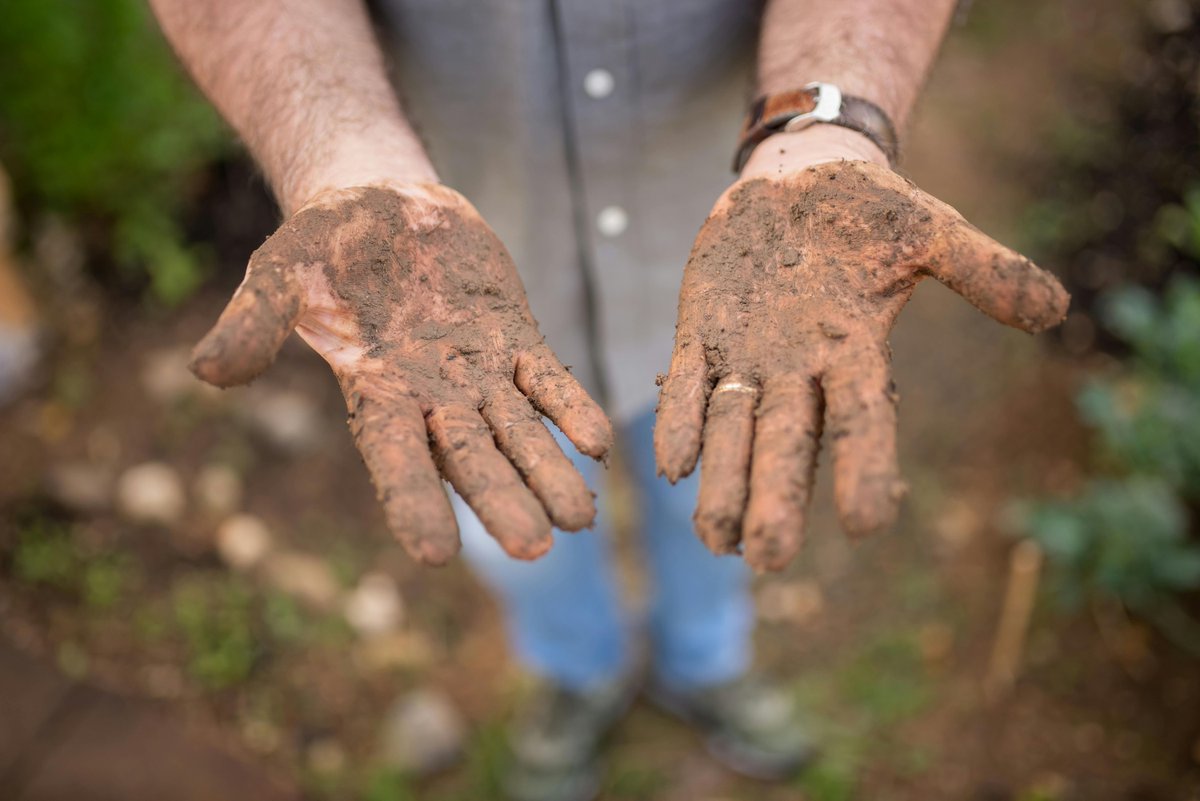 YourGardenGrl's tweet image. Saturday = time to get your hands dirty (in the best way).
Scoop up gloves, kneelers, and totes at yourgardengirl.com
#WeekendWeeder #SoilSquad #DiggingIn #YourGardenGirl