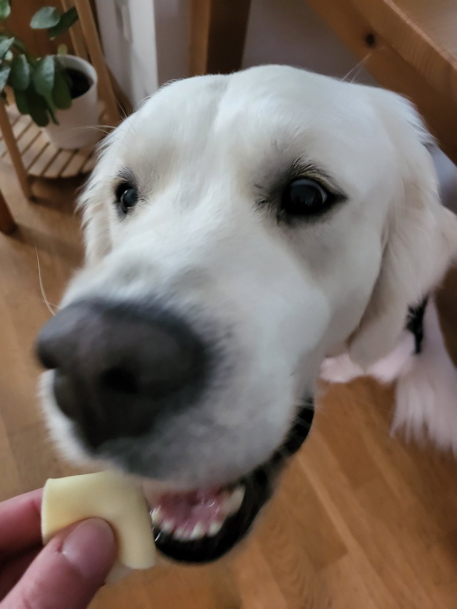 Es gibt wieder den leckeren Aua-weg-mach-Käse. 🤤