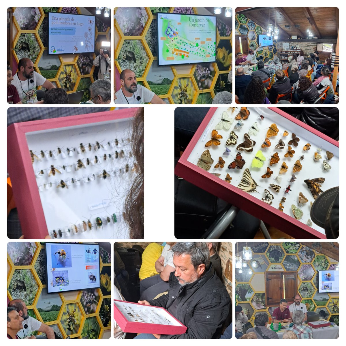 Asociación Corripa tweet media