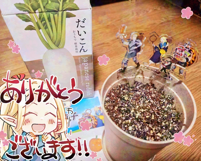 三幸製菓様のキャンペーンに当選して根菜栽培セットとオリジナルピックをいただきました、ありがとうございます〜〜〜!!
4人のピックめちゃくちゃかわいい、うれしすぎる………😭😭😭がんばって大根育てます!
#三幸製菓
#ダンジョン飯
#当選報告 