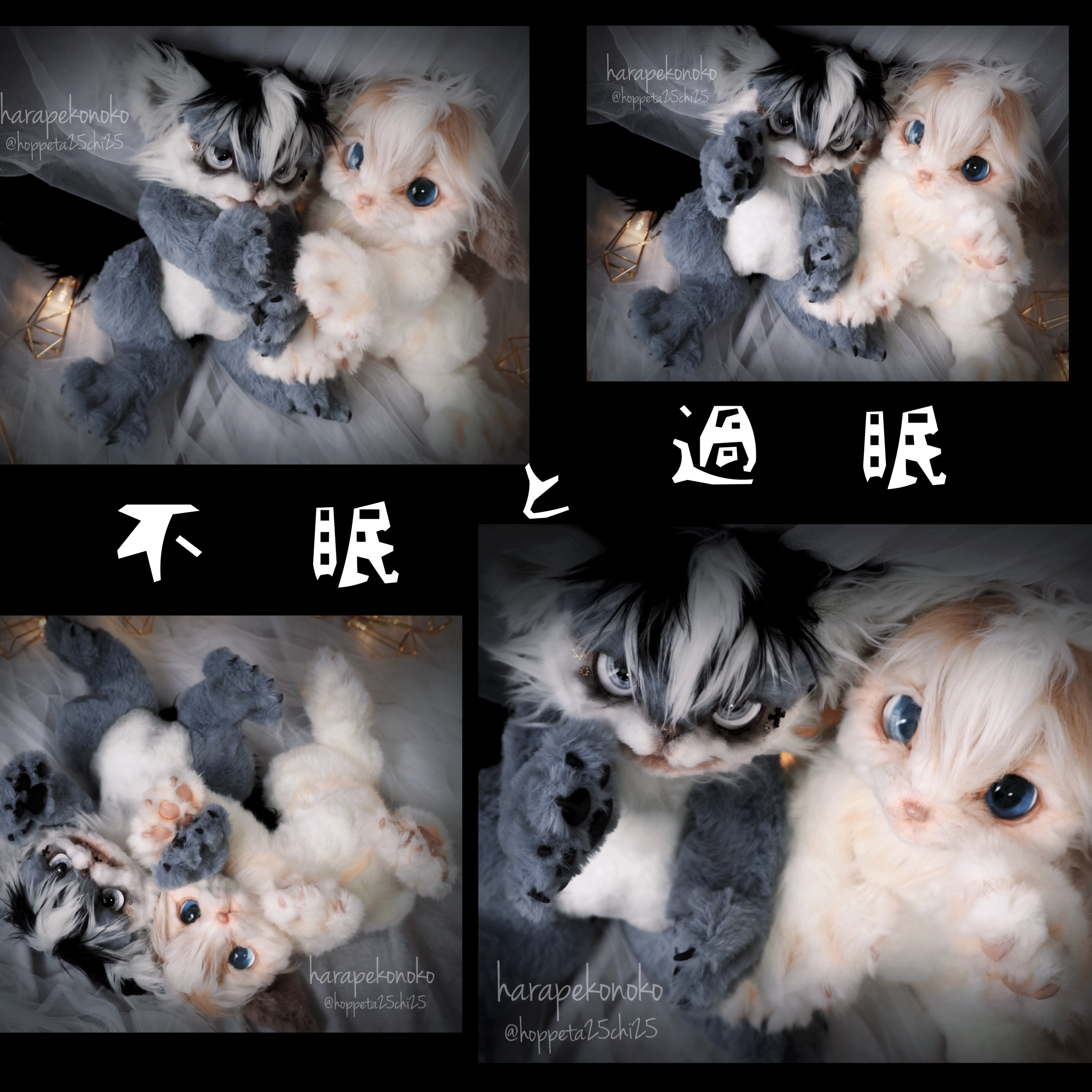 ハラペコ (@hoppeta25chi25) / X ハラペコ (@hoppeta25chi25) / X