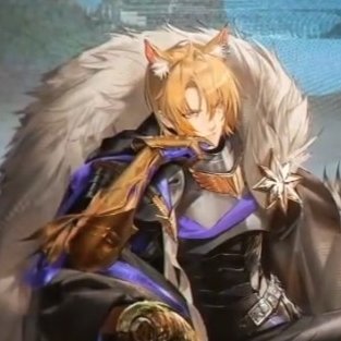 肩についているやつ凄くもっふもふ