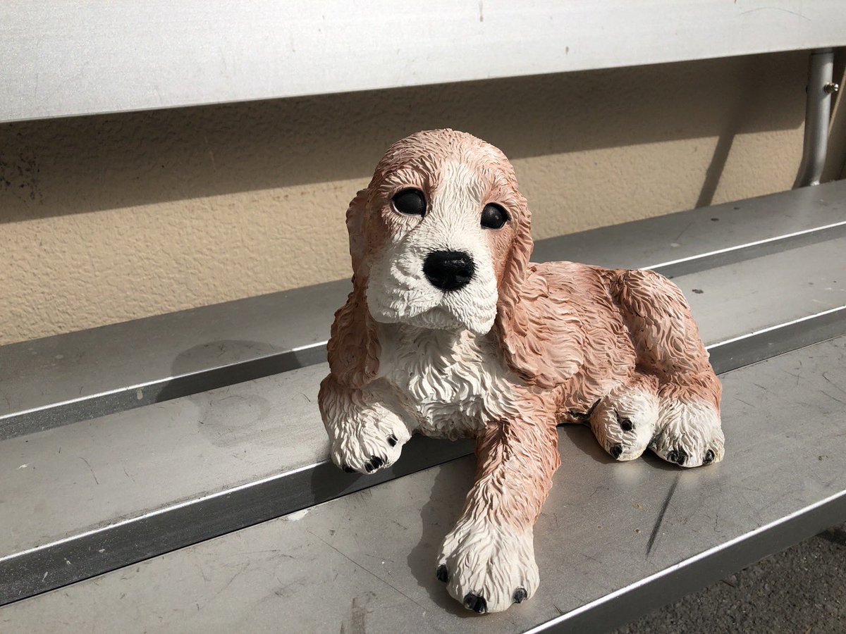 naritazya's tweet photo. 家の方には大切な犬の置き物を成田塗装が綺麗にします。
#外壁塗装　#犬の置物　#ワンちゃん　#塗装 https://t.co/0OO7ymhDxQ
