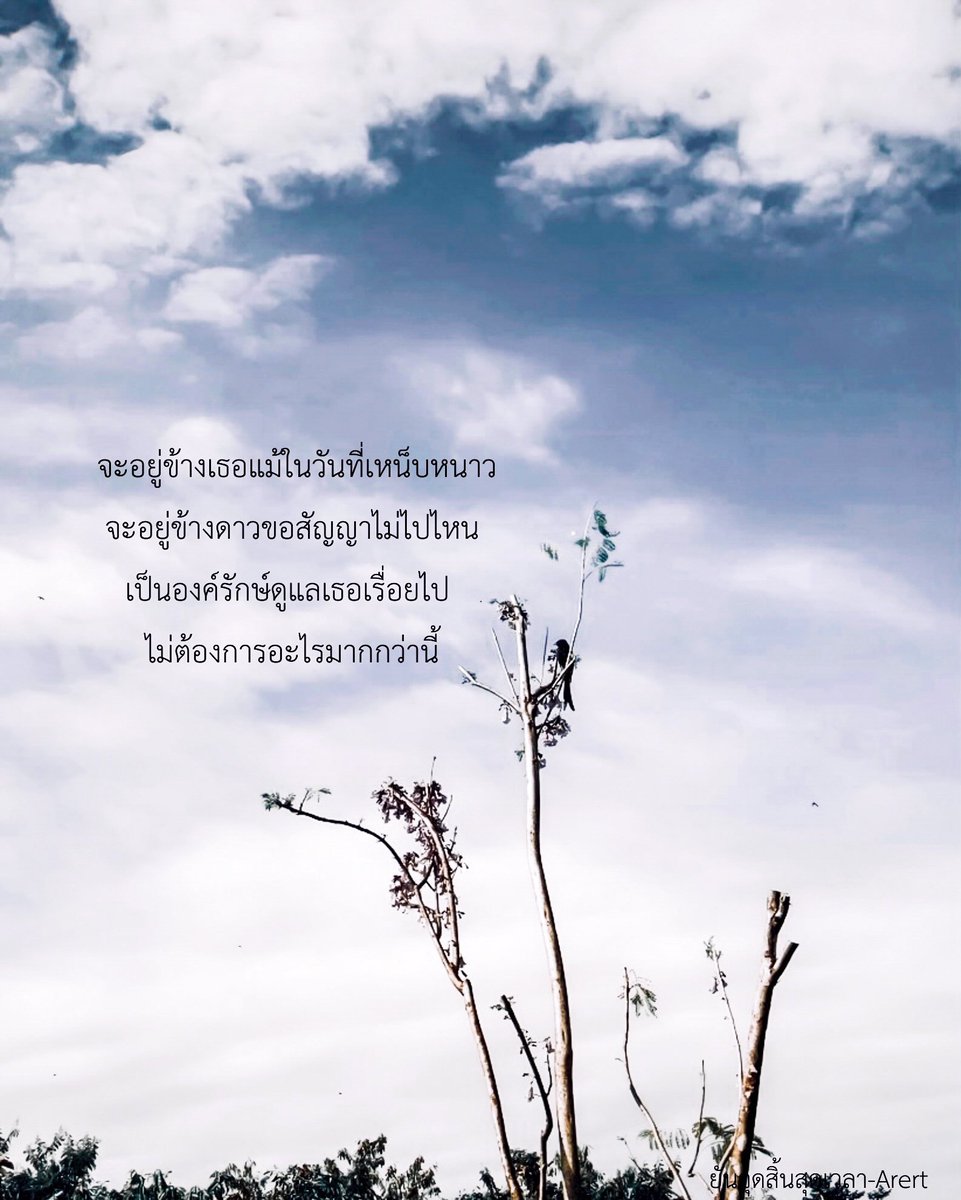 mew_cc's tweet photo. ถึงเธอ ; ♾️ https://t.co/Hkm2Gjhrx5