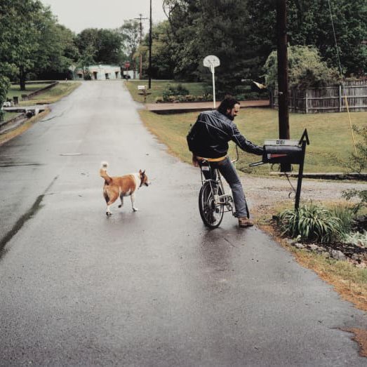 för att ens stå ut med den onda hunden jag fått ansvar över kommer jag att larpa den här bilden av david berman hela sommaren anmärk inte på ny ful cykel
