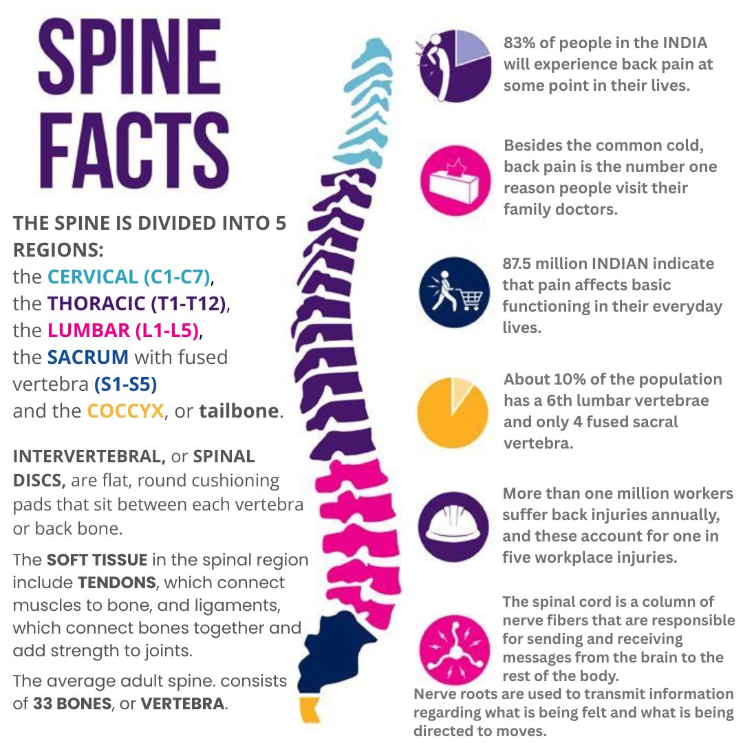 SYS_Medtech_Int's tweet image. Did you know that the spine is made up of 33 vertebrae that protect the spinal cord? Fascinating facts about the orthopedic system! 

#SpineFacts #Orthopedic 
#HumanBody #Orthopedic 
#spinel  #HealthTips  
#WellnessTalk  #KNOWLEDGE  
#Prevention #Treatment
#sysmedtechint