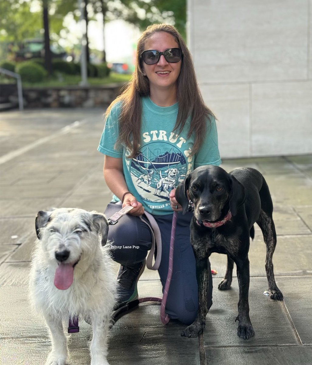 Penny_Lane_Pup's tweet photo. We’re here and ready to strut!
#pennylane #muttstrut https://t.co/VDohxkC5EA
