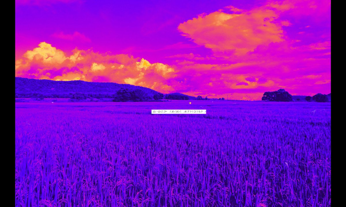 あさい tweet media