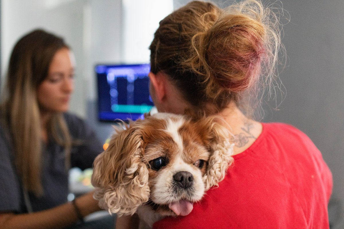 Every vaccine, every diagnostic, every treatment....

None of it works without a veterinarian.

This #WorldVeterinaryDay, we salute the people who make animal health possible