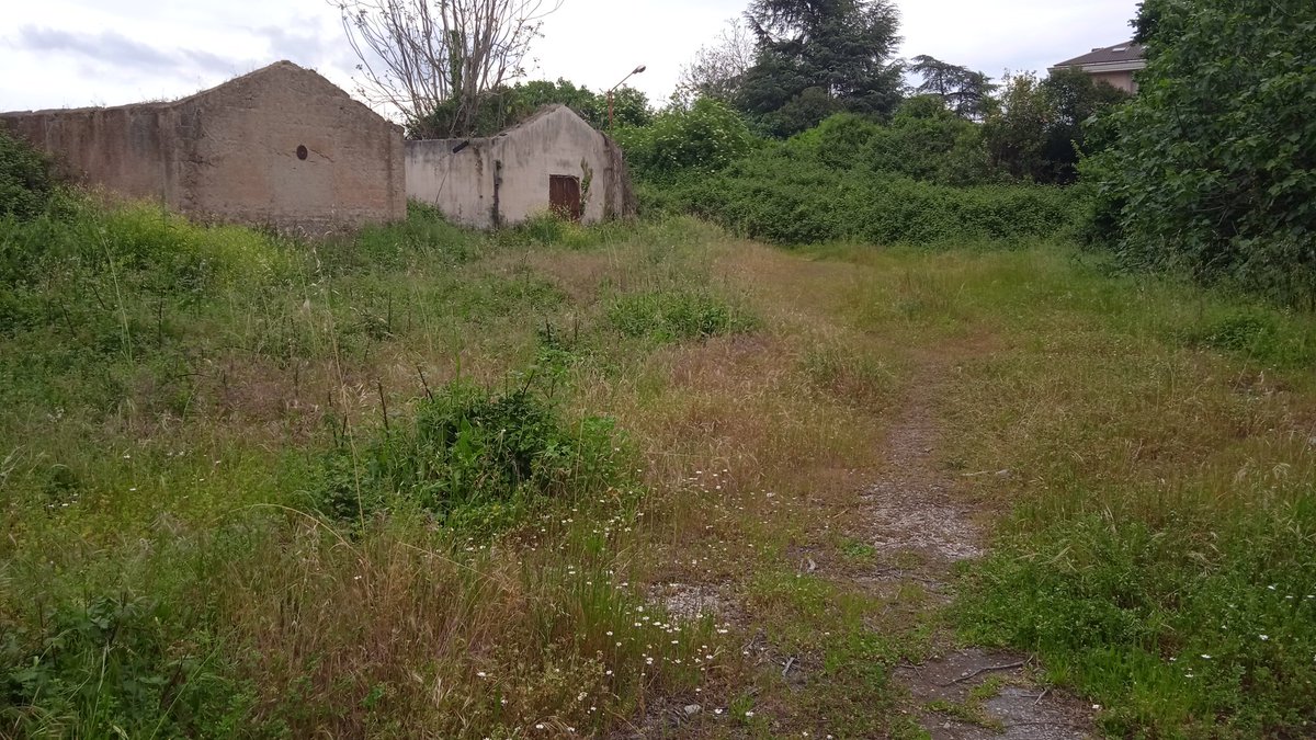 Il comitato Caserta città di pace con la rete di associazioni ha organizzato 'la resa di Caserta'. Vi chiediamo di partecipare.
<a href="/casertafocus/">casertafocus</a>,<a href="/casertaweb/">Caserta Web</a>, <a href="/casertace/">CASERTACE.NET</a>, <a href="/PupiaTv/">Pupia</a>, <a href="/radiodeejay/">Radio Deejay</a>, <a href="/RaiRadio2/">Rai Radio2</a> , <a href="/RadioR101/">radior101</a>, <a href="/Radio24_news/">Radio 24</a>,<a href="/RaiCultura/">raicultura</a>