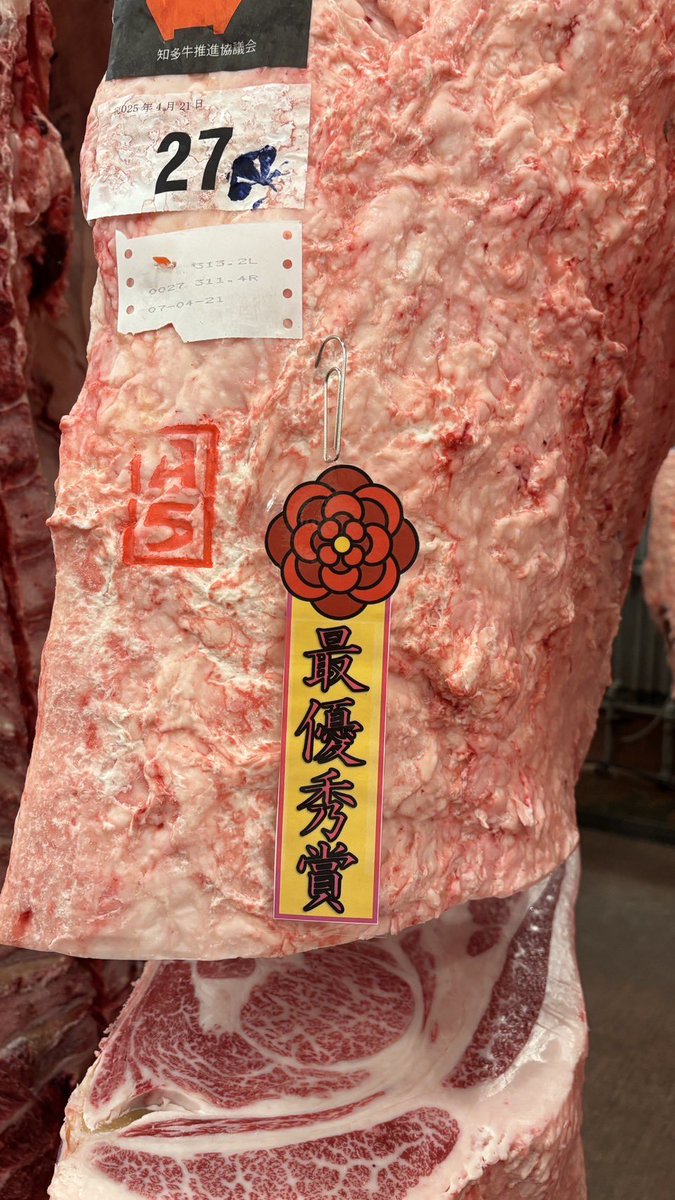 hibikif1's tweet photo. R7/4/21 知多牛枝肉研究会
最優秀賞は石川健一さんの交雑種去勢、着体重977kg、枝肉624.6kg、A-5等級、BMS11、ロース面積78、種雄牛隆之姫でした。おめでとうございます。

#知多牛
#枝肉研究会
#交雑牛
#響
#知多和牛
#誉
#美味しい牛肉
#愛知県
#知多半島
#大阪市食肉市場 https://t.co/5itdsyP8pK
