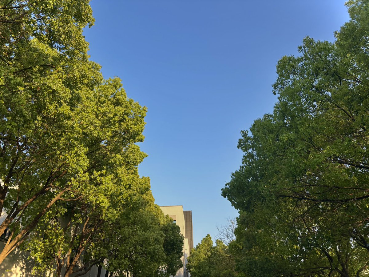 Redbean478's tweet photo. 又开始吃Eva了爆痘中😭 https://t.co/AlX4CYr65N