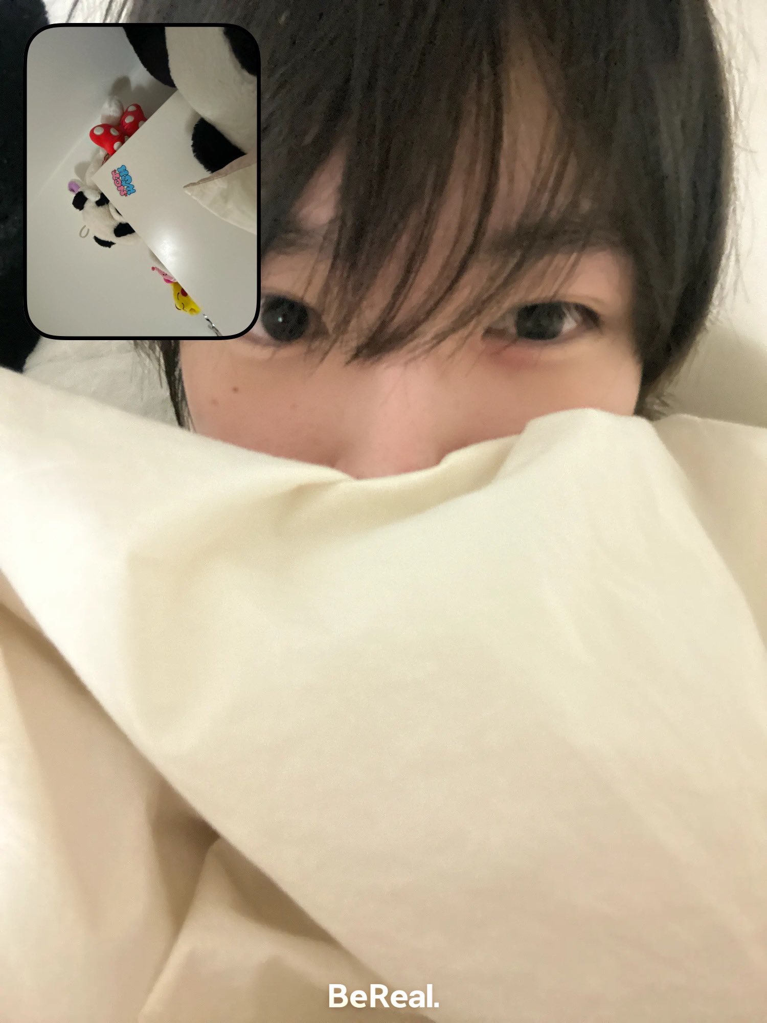 ぽむ (@mydream_101118) / X ぽむ (@mydream_101118) / X