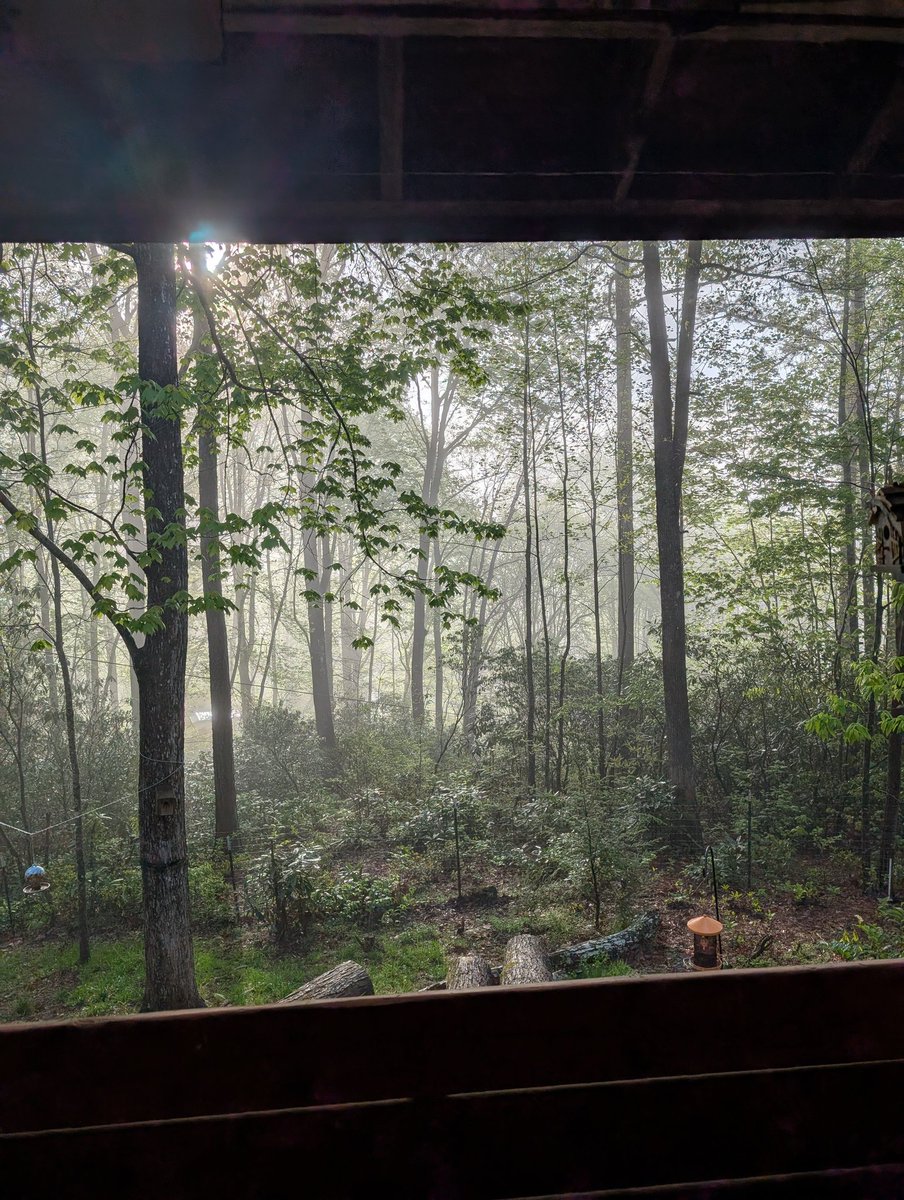 A Smoky Mountain morning from my house to yours.