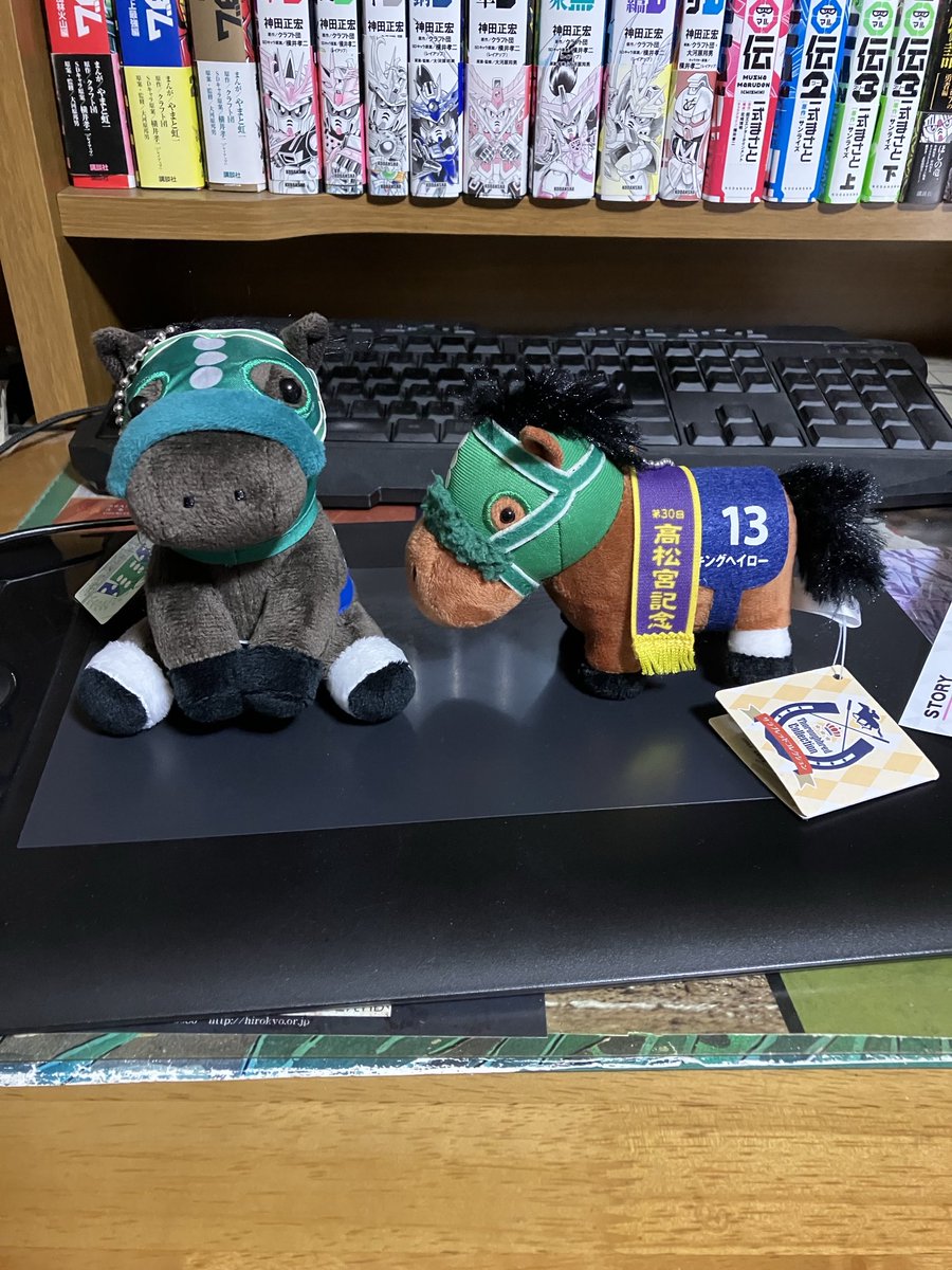 今日京都競馬場に行ったときアイドルホースぬいぐるみのキングヘイロー