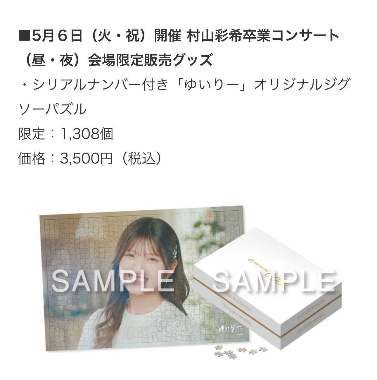 村山彩希AKB48 卒業コンサート会場限定ジグゾーパズル シリアル