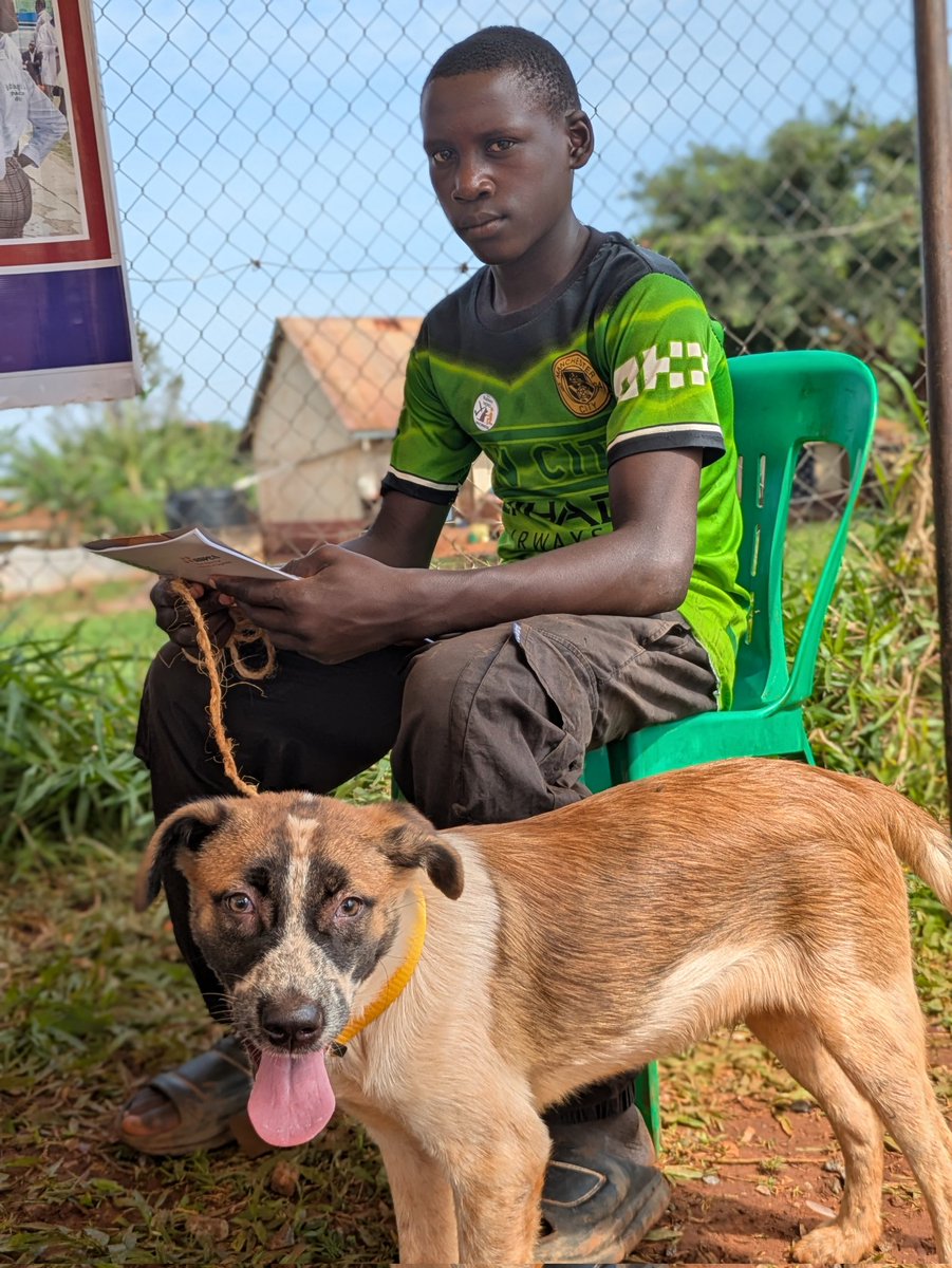 Simba here is saying thank you 👊
He enjoyed your stay in Kiboga and having received the life saving Rabies vaccine and getting castrated, with both services at no cost, he's just thankful and wishing y'all a safe journey back home