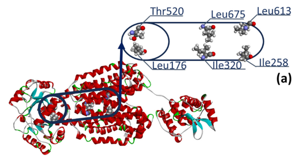 Sharing our last paper. We reported the study of functionalized SQ109 scaffolds against Mycobacterium tuberculosis, molecular docking simulations, and molecular dynamics of the interactions with the target membrane protein. Check it out! 
onlinelibrary.wiley.com/share/author/S…