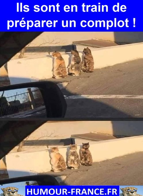text alternatif