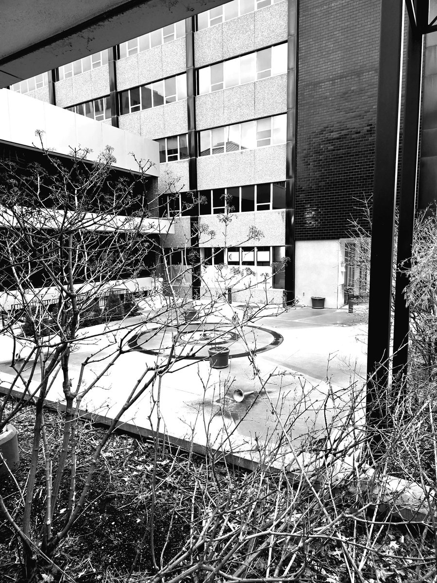 vintiga's tweet image. Plaza

#Plaza #RandomShot #RandomLocation #Downtown #DowntownStLouis #StLouis #Outside #WalkAbout #PhotographyIsArt #Photography #BlackAndWhite #BlackAndWhitePhotography #GalaxyS #GalaxyS25Ultra #GalaxyS25 #GalaxyS25Photography
