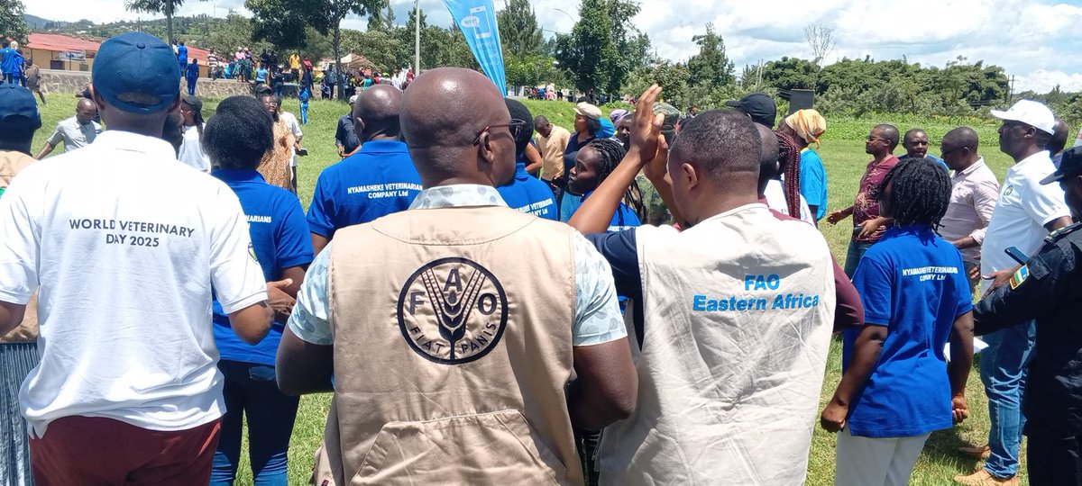 Alexis Nyandwi 🇷🇼 (@alexisnyandwi12) on Twitter photo Today, Rwanda proudly joins the world in celebrating "World Veterinary Day 2025" under the theme "Animal Health Takes a Team."
The national event, held at Kanjongo-Kirambo Stadium in <a href="/Nyamasheke/">Nyamasheke District</a>, highlights the essential role veterinarians and their teams play in safeguarding Today, Rwanda proudly joins the world in celebrating "World Veterinary Day 2025" under the theme "Animal Health Takes a Team."
The national event, held at Kanjongo-Kirambo Stadium in <a href="/Nyamasheke/">Nyamasheke District</a>, highlights the essential role veterinarians and their teams play in safeguarding